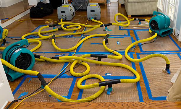 Professional Storm Water Damage Restoration technician working in Bowersville, OH
